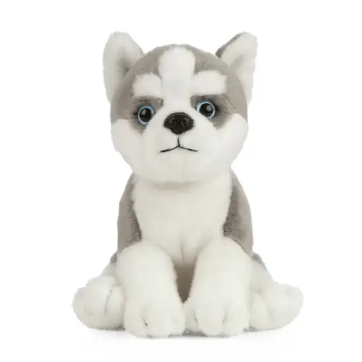 Peluche Chien Husky Couché - Anima - NEUF - Pour Enfant +3 Ans